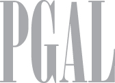 2015 afa pgal logo